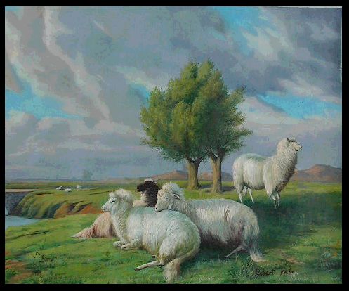 Landscape Sheep C