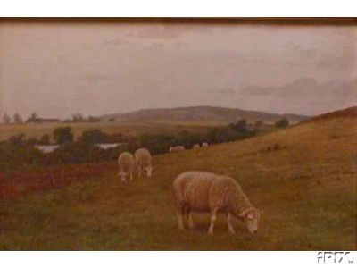 Landscape with 3 Ewes