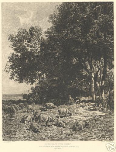 Landscape with Sheep1