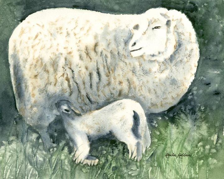 Lightlunch Sheep