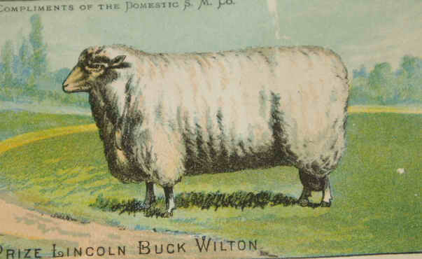 Lincoln Ram Wilton