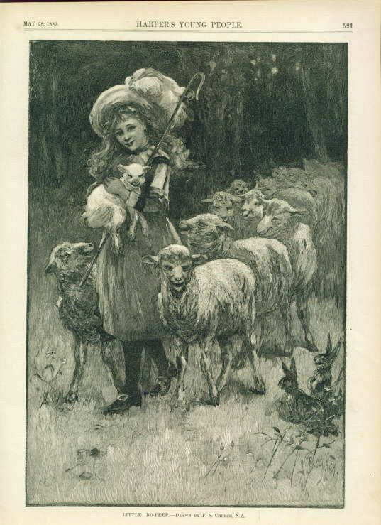 Little Bo Peep Engraving Sheep