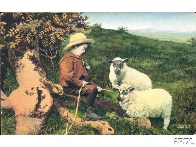 Little Boy with Cowboy Hat and Sheep