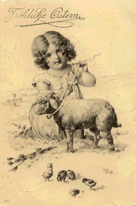 Little Girl Ties Ribbon on Lamb