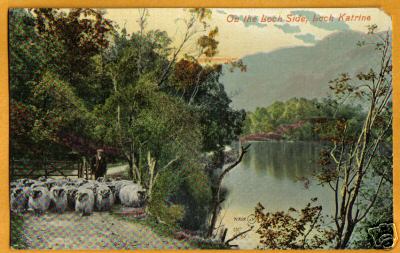 Loch Katrine Scotland Man Shepherd Sheep Rams