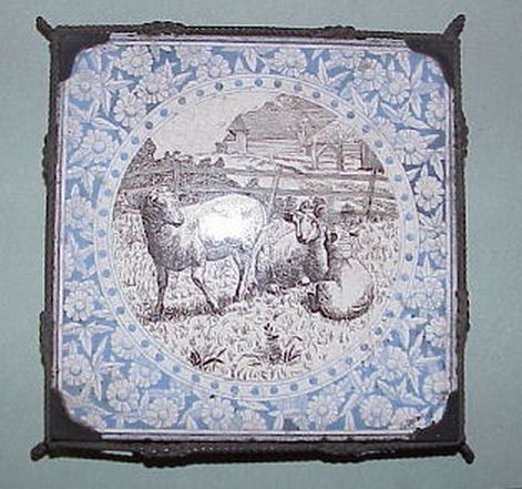 Lovely Blue and White Sheeptile