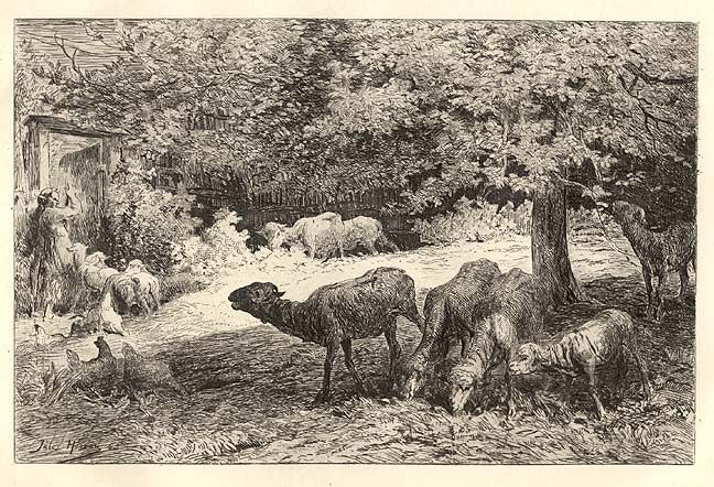 Lovely French Sheep Engraving