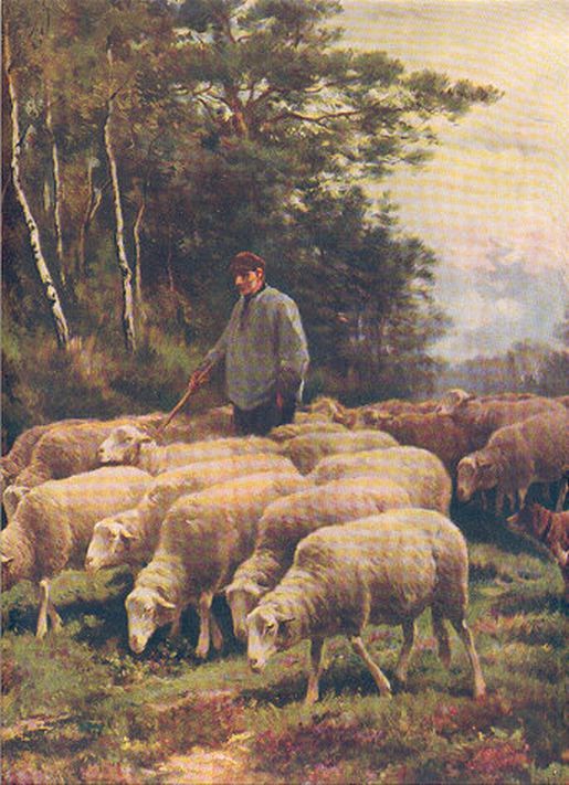 Lovely Shepherd with Tranquil Sheep