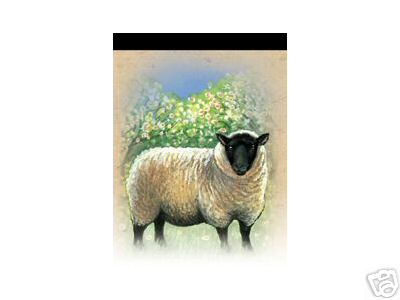 Magnetic Notepad Sheep