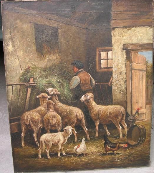 Man Feeding Sheep in a Barn