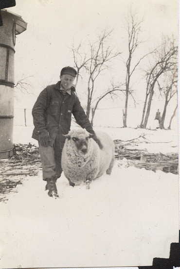 Man in Snow with Sheep