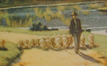 Man Walking with Sheep