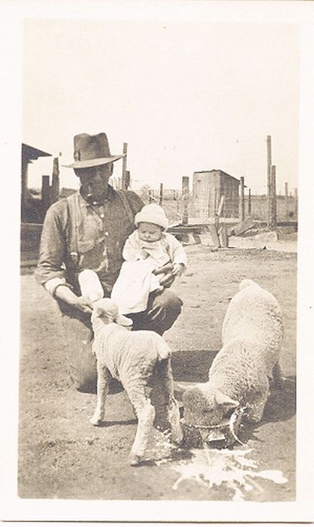 Man with Baby and 2 Lambs