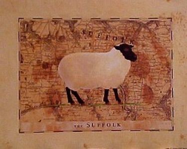 Map Suffolk Sheep