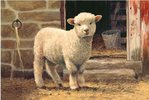 Marys Lamb
