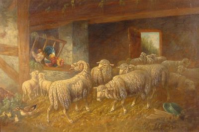 Merino Flock in Barn