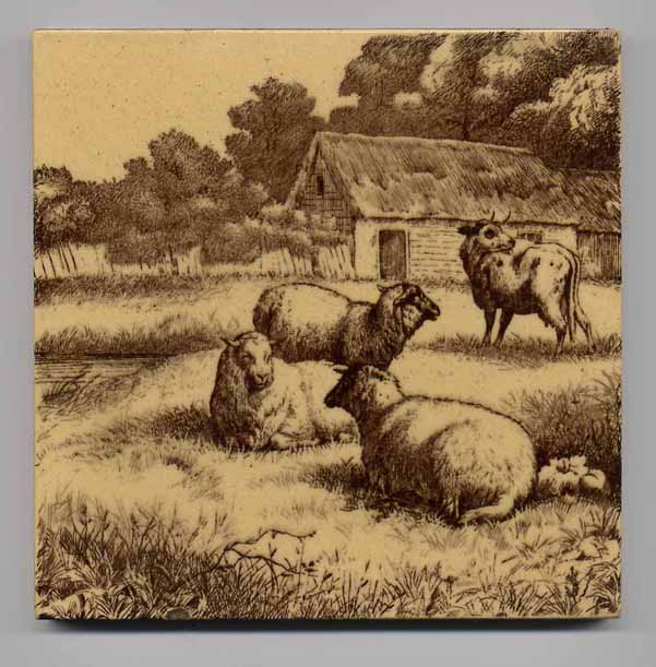 Minton Sheeptile