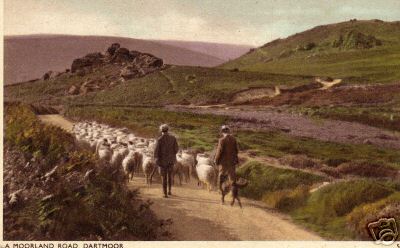 Moorland Road Dartmoor Shepherd and Sheep