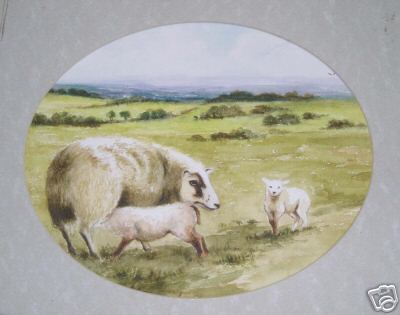 Moorland Sheep Wc