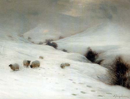 More Sheep in Snow