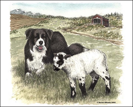 Mossminnie BC and Lamb