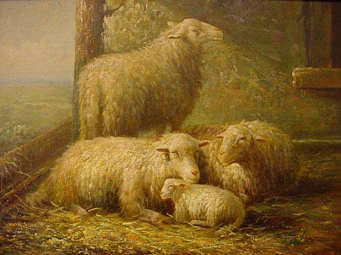 Mother Sheep and 3 Daughters