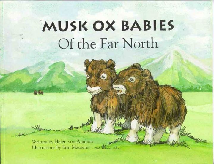 Musk Ox Babies