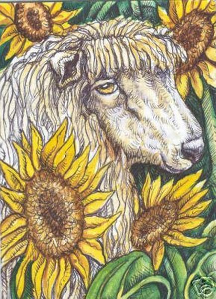 Mystic Sunflower Sheep