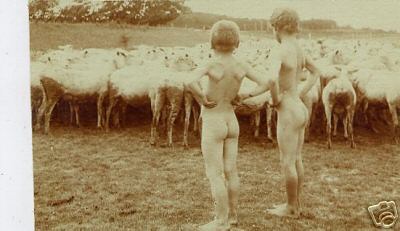 Naked Children with Sheep