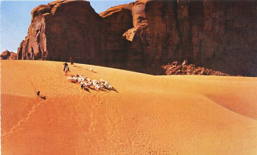 Navajo Indian and Sheep Monument Valley Utah