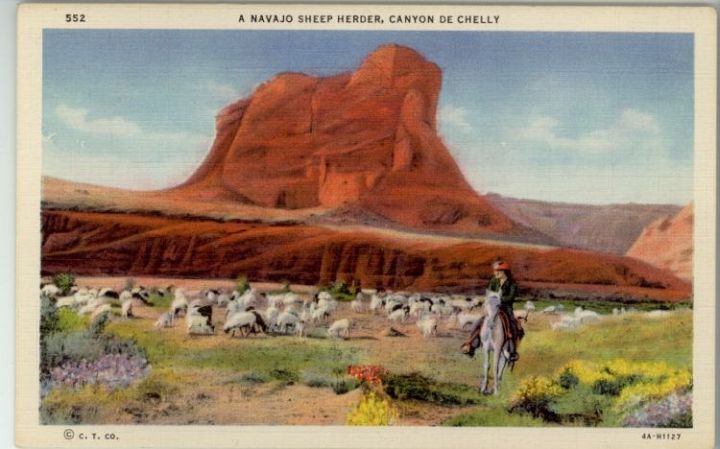 Navajo Indian Sheep Herder Canyon De Chelly Az 1934