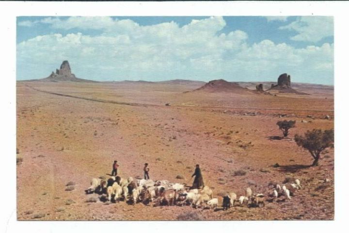 Navajo Mother with Sons and Sheep