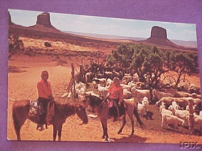 Navajo Sheep Camp