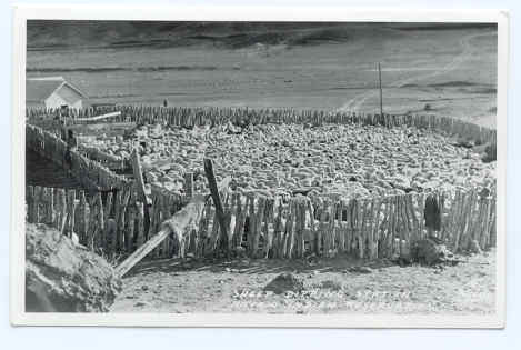 Navajo Sheep Dipping Station