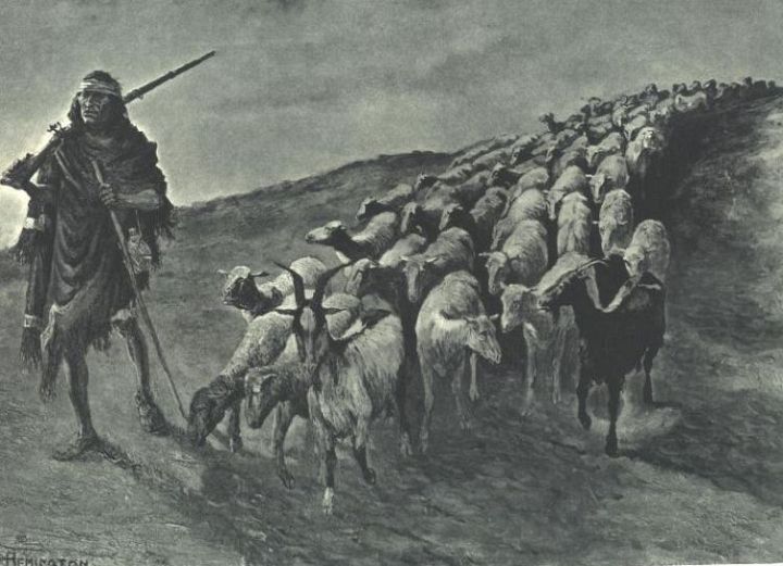 Navajo Shepherd with Flock