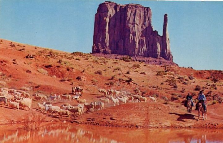 Navajo Shepherds Watering Sheep and Goats