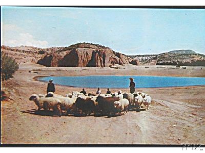 Navajo Shepherds with Their Sheep