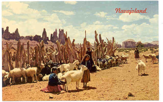 Navajo W Omen with Sheep