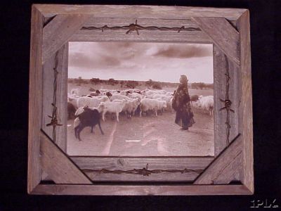 Navajo Woman with Flock