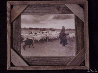 Navajo Woman with Her Flock