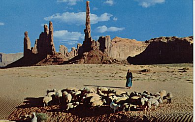 Navajo Woman with Her Flock 2