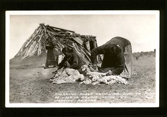 Navajo Women Shearing