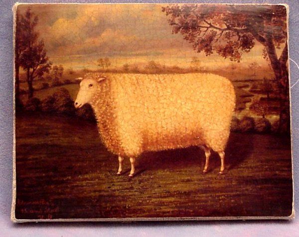 Neat Sheep