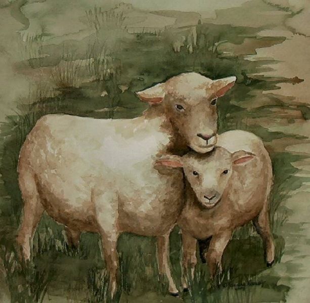 Nice Ewe and Lamb