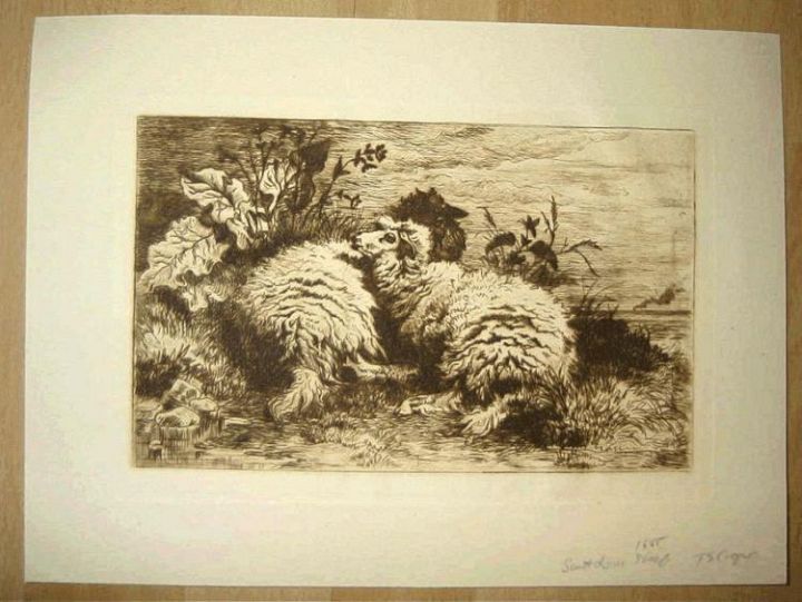 Nice Ewe and Lamb Etching