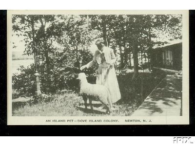 Nj Woman with Pet Sheep