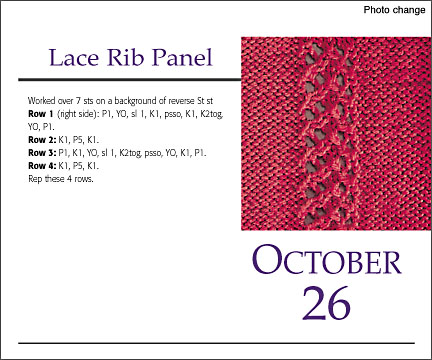 Oct 26Lace Rib Panel Knit