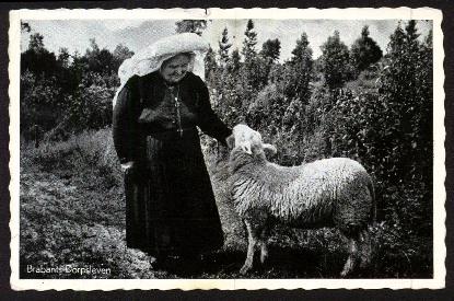 Old Duch Woman and Ewe