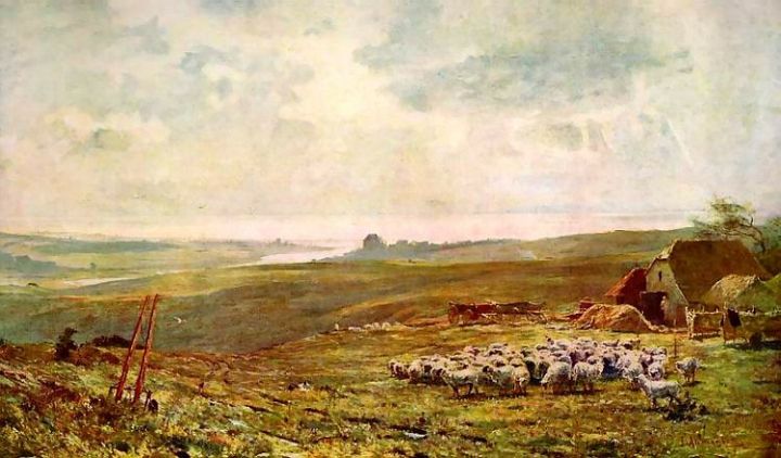 Old English Sheep Print
