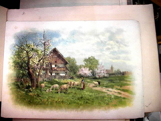 Old German Sheep Print